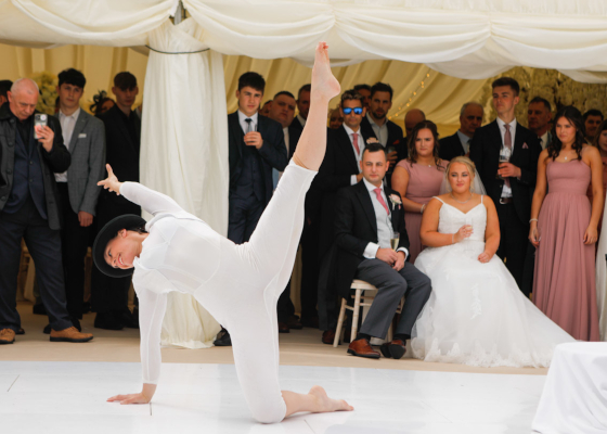 Solo hoop by The 2 Lisa's for your event or wedding entertainment.