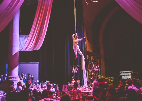 Solo aerial silks for you wedding or event entertainment by The 2 Lisa's